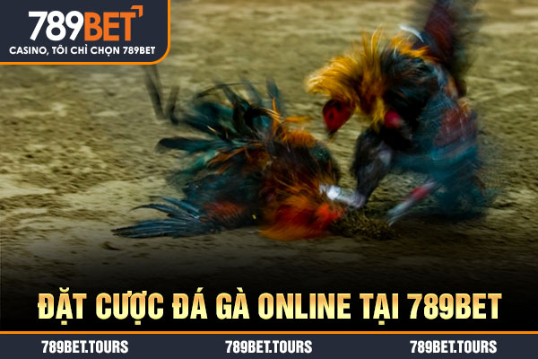 Đặt cược đá gà online tại 789bet