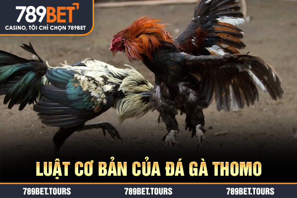 Luật cơ bản của đá gà thomo